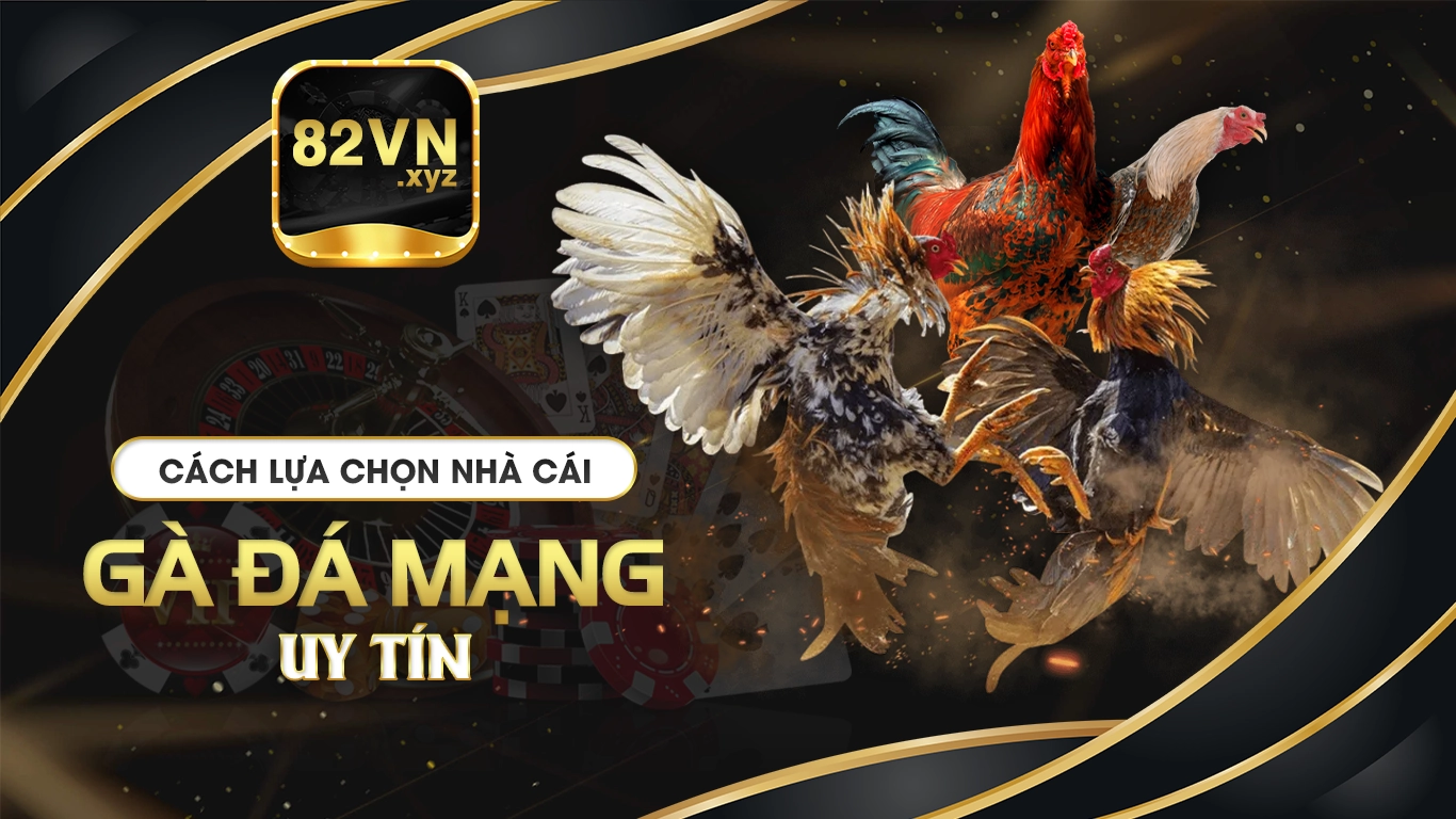 đá gà mạng 82vn 02