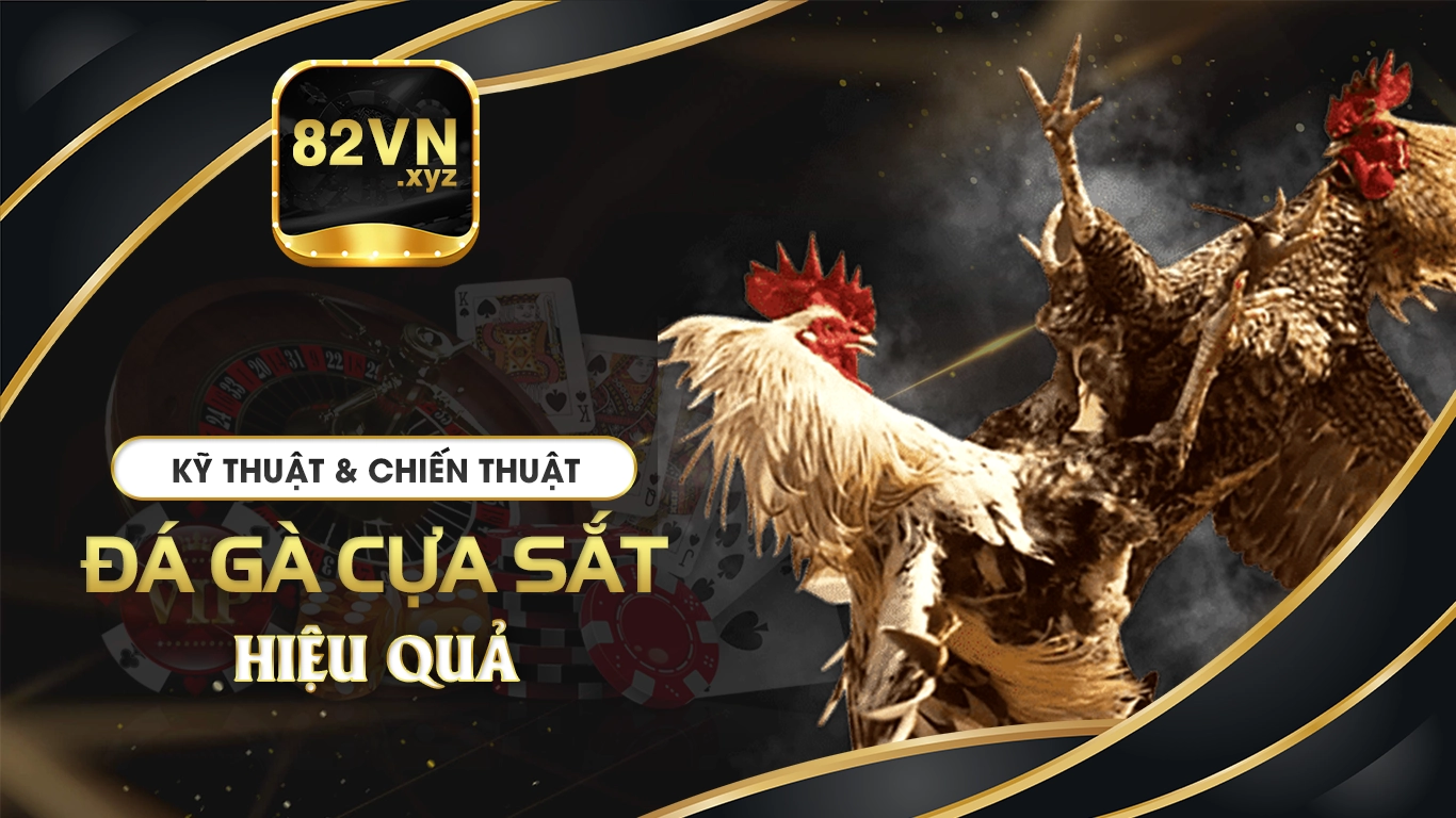 đá gà cựa sắt 82vn 02